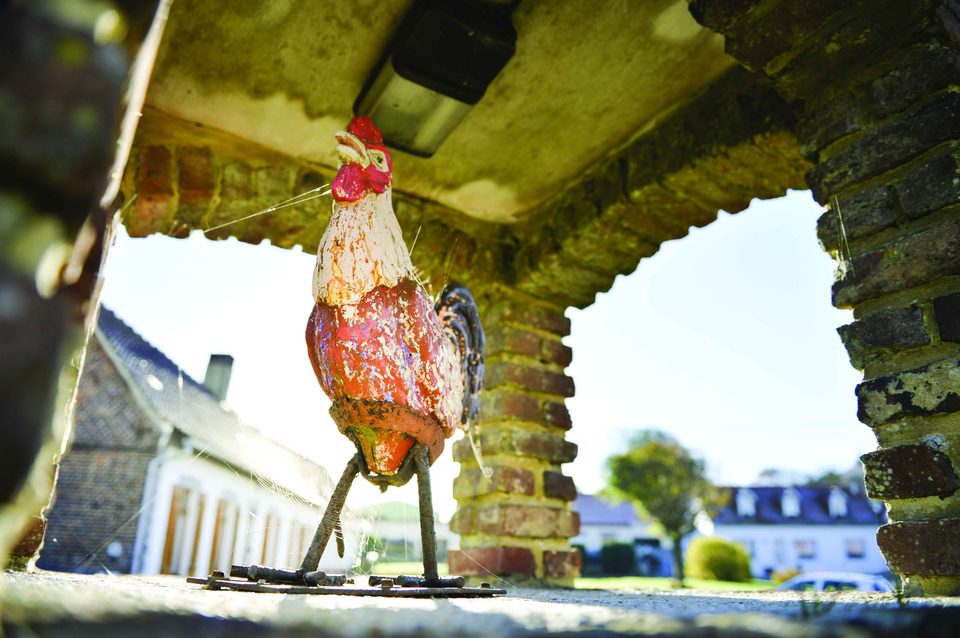 Le Coq Rouge
