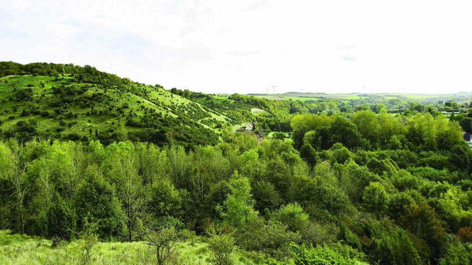 Les Coteaux de l'Aa