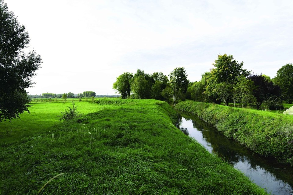 Les Ecoliers