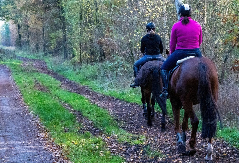 randonnee_equestre