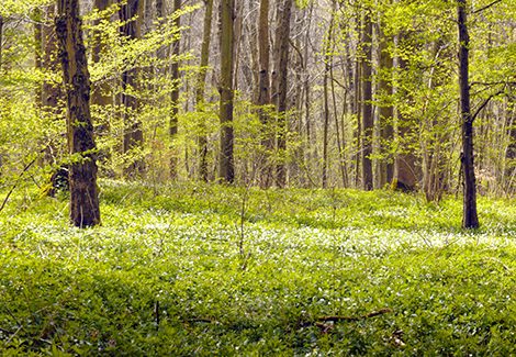 maroeuil_escapade 62