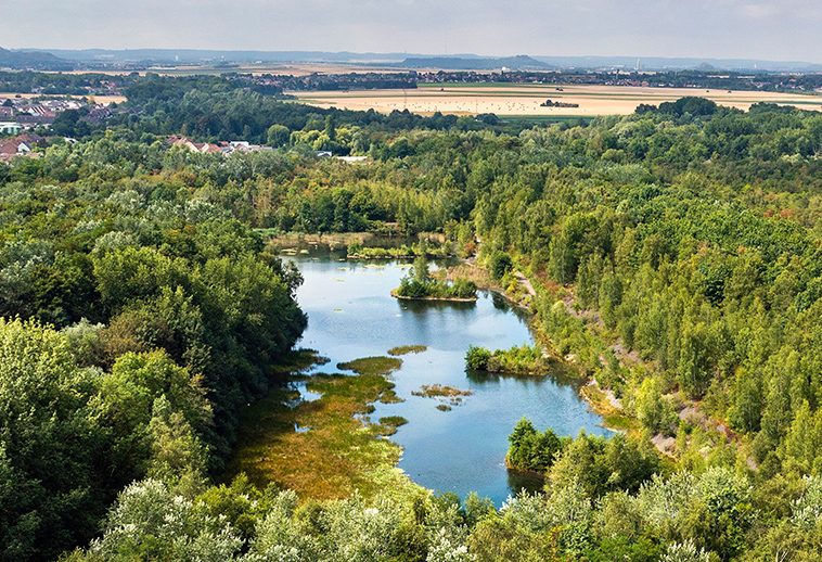 Sentier des Accacias