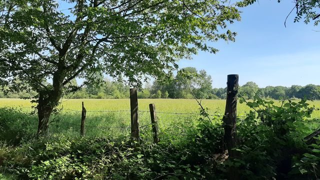 Les hauts d'Autheuil