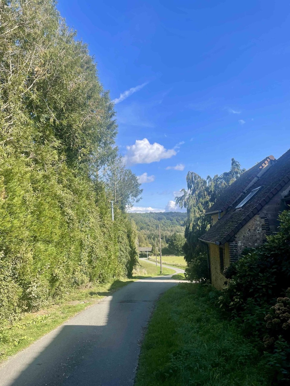 chemin maison
