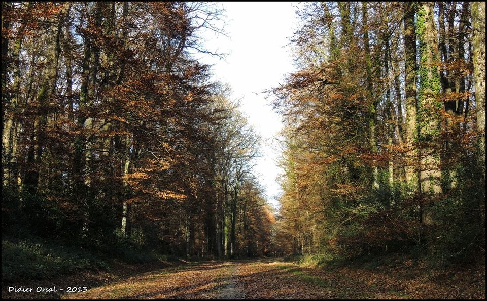 Rando St Martin du Vieux Bellême 012-1