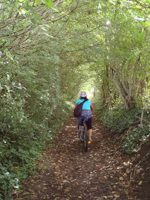 ©OT des collines du Perche Normand