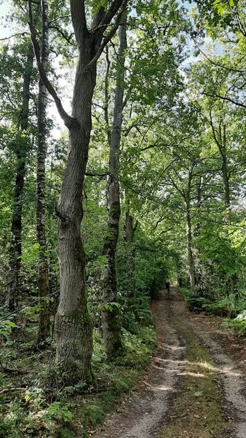VTT-StVictorButhon (16)