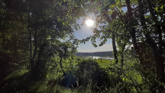 En empruntant le canal d'Arcisses