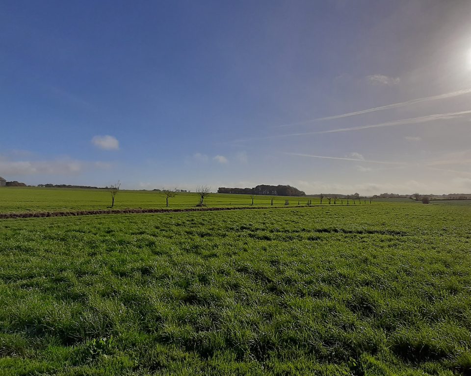 Les terres douces