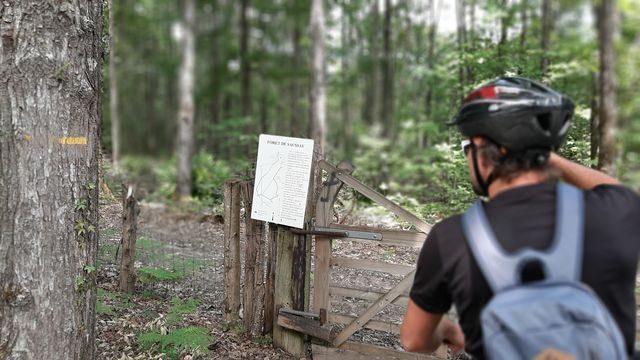 J1 (189)ForetSaussay