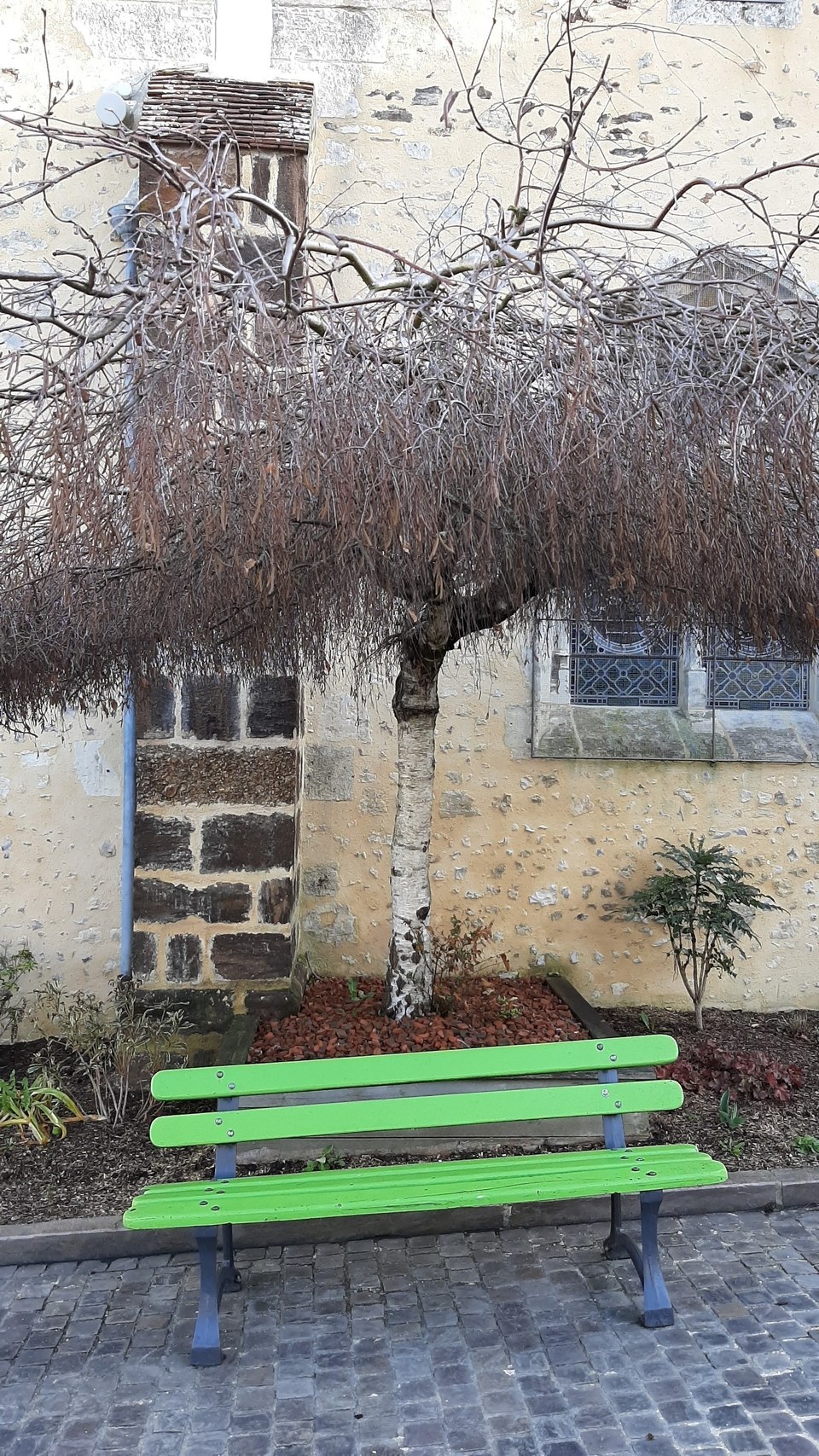 20210314_091743