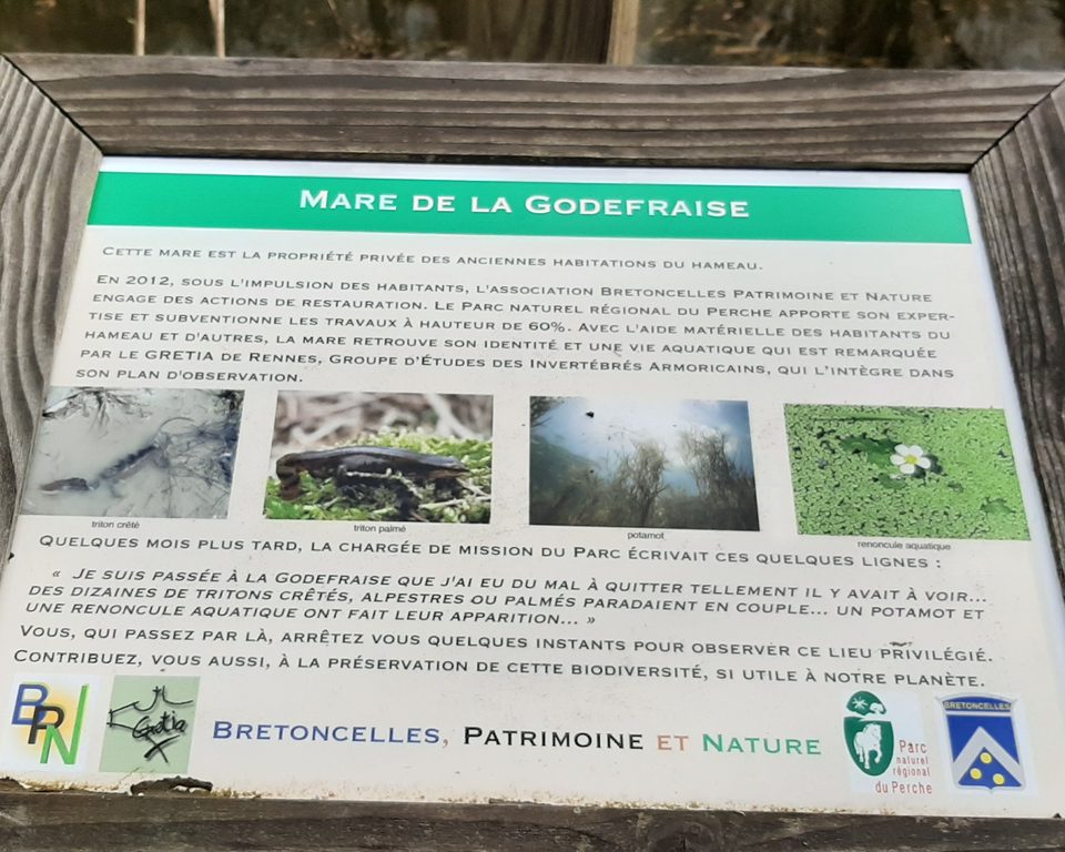 Mare de la Godefraise