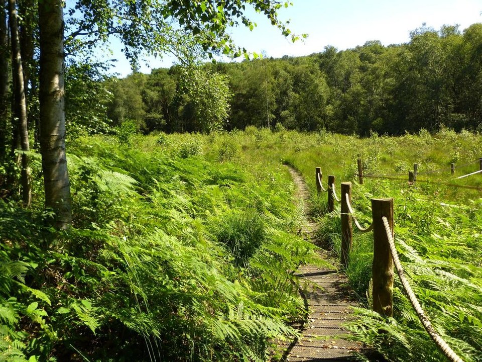La Tourbière des Froux et son sentier de découverte : fermeture temporaire entre août et oct 2026
