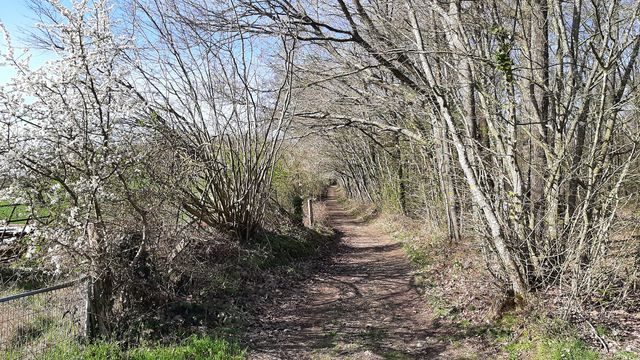 Bois privé, de la butte des Jouvetteries