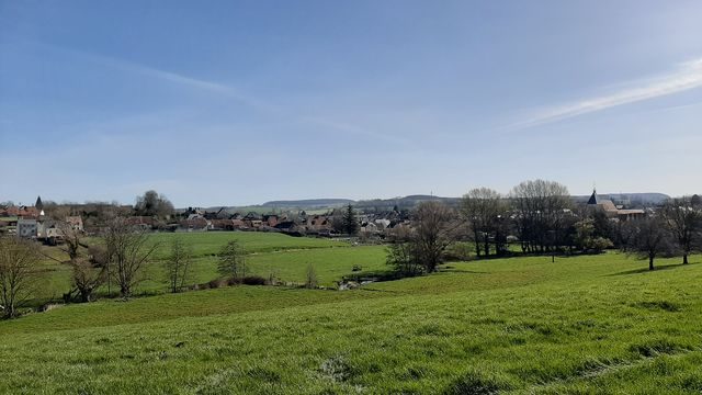 Le bois de Beauvais
