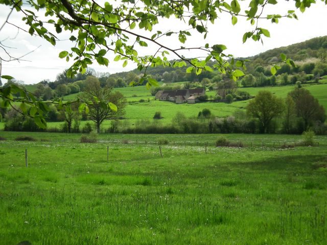 La Corbonasière