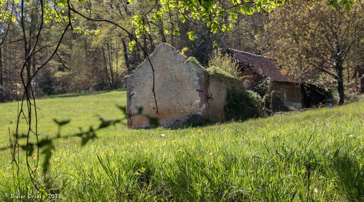 Le Bois de Sublaine