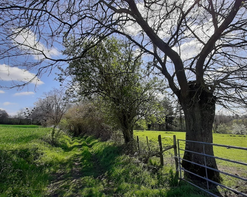 Vieuxbourg (24)_RECADREE