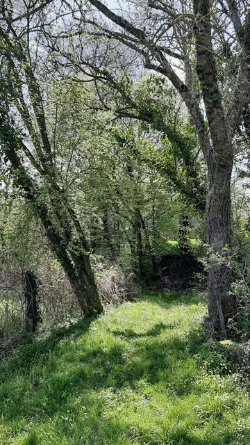 Ruisseau-Merdereau (4)