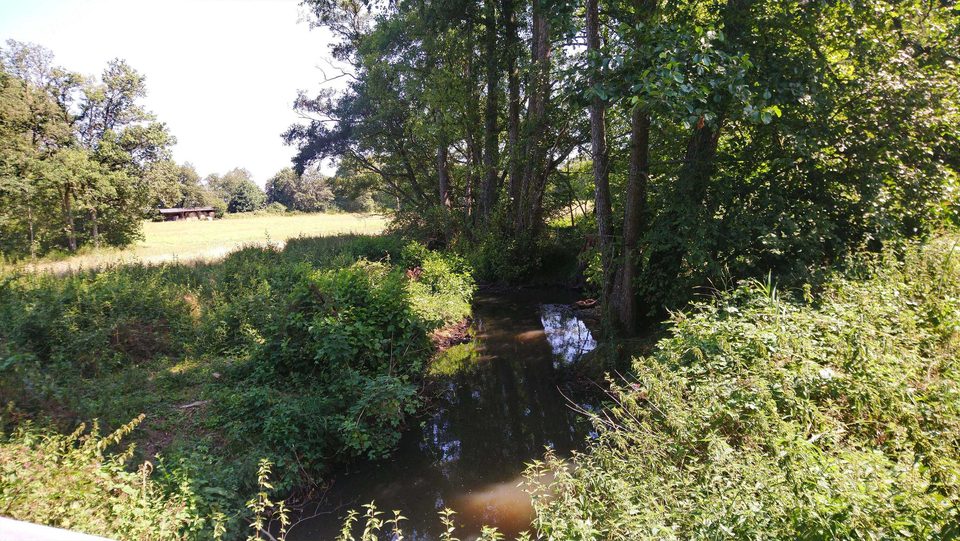 Les fossés du Roy