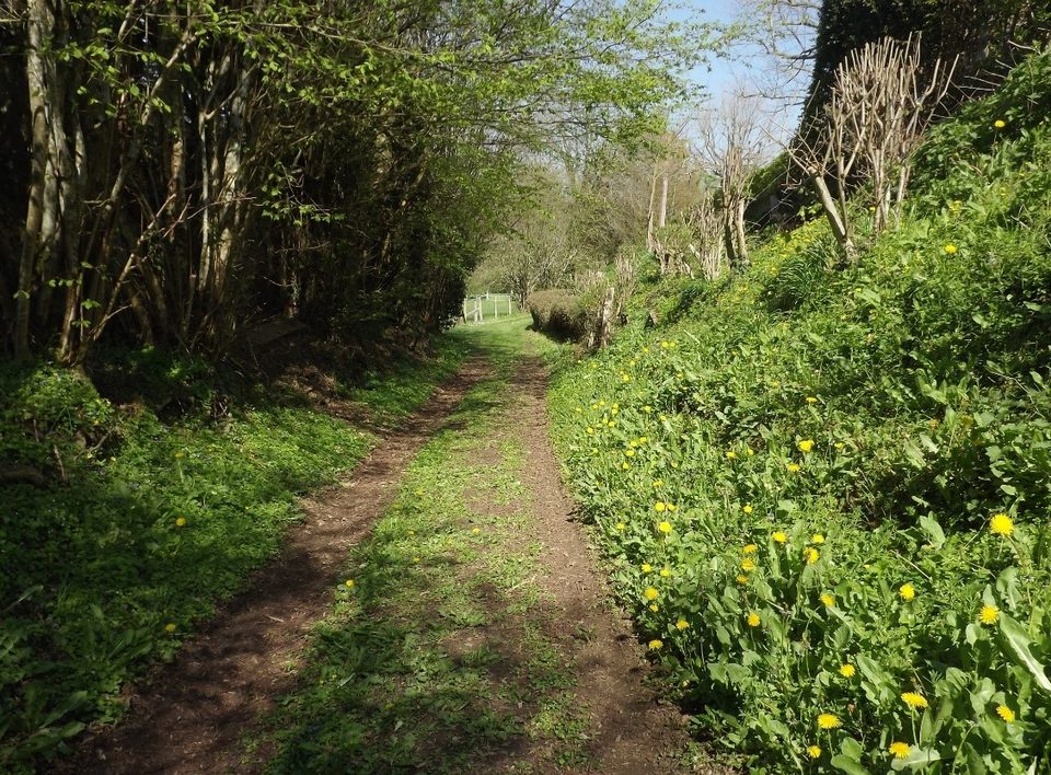 Chemin