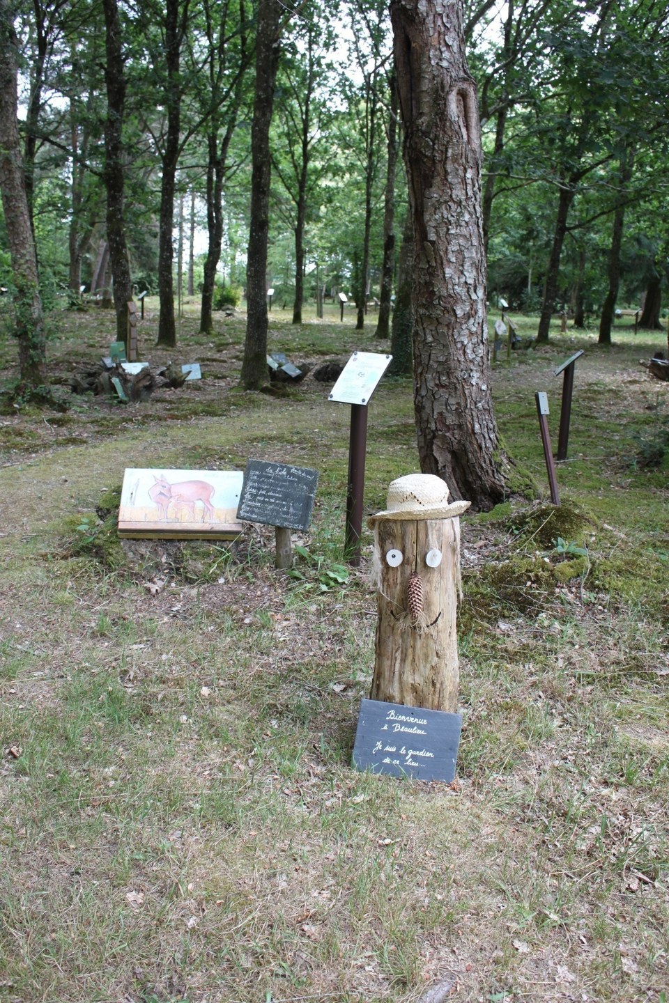 Arboretum