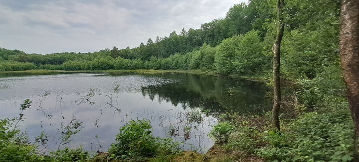 Les ruines du château de Gannes