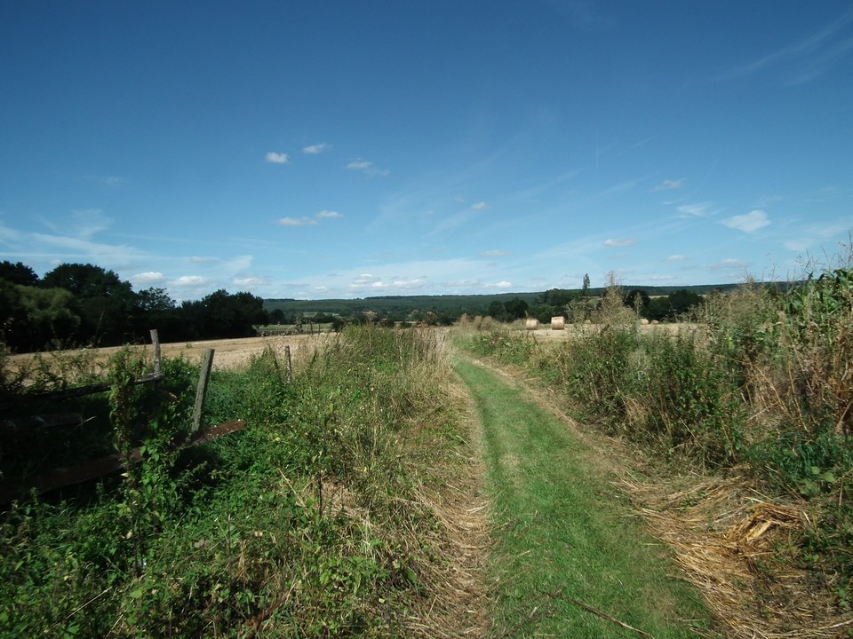 DSCF3236