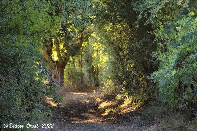 2022-08-09 PR Les chemins de l'Histoire 00012