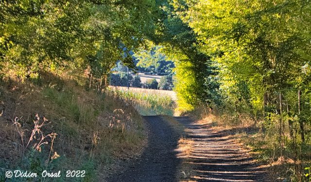 2022-08-09 PR Les chemins de l'Histoire 00003