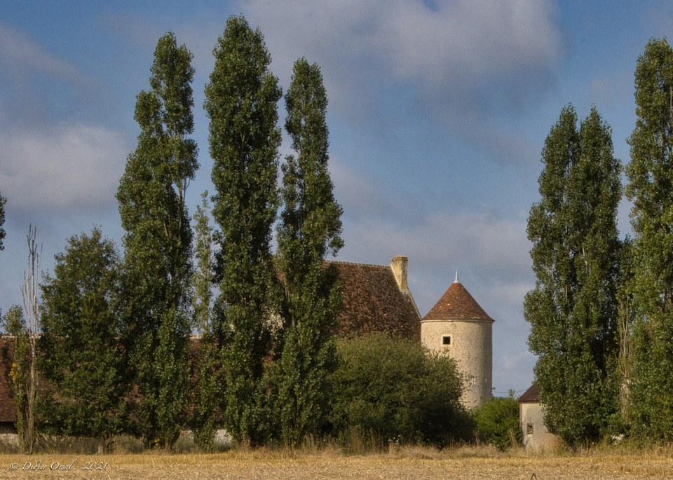 Verrie¦Çres 25 La Bouchardie¦Çre