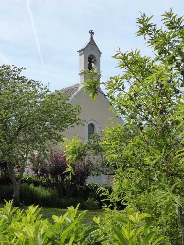 Bois et châteaux