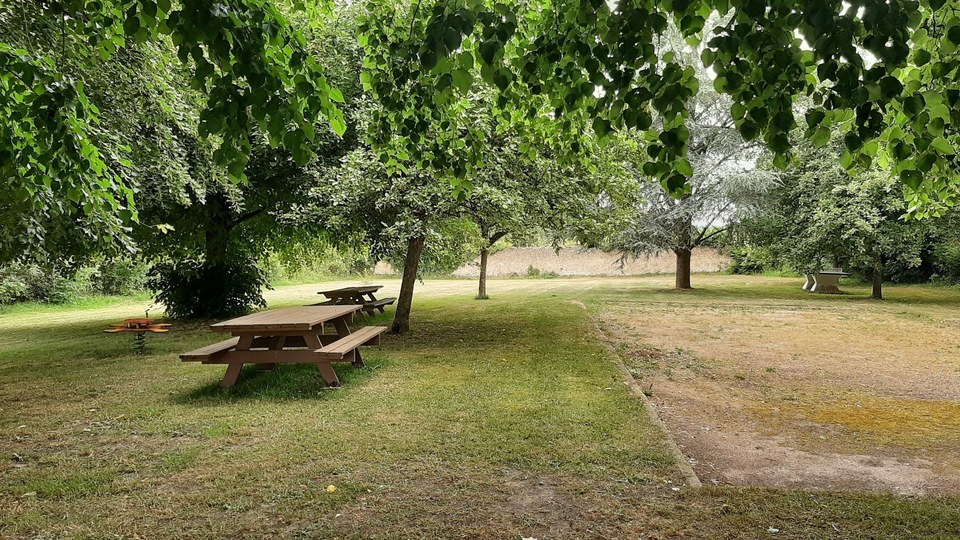 Le bois de Grandmont