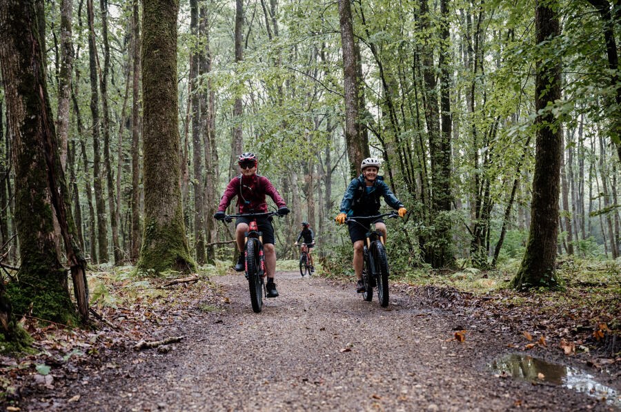 Bois de Condeau