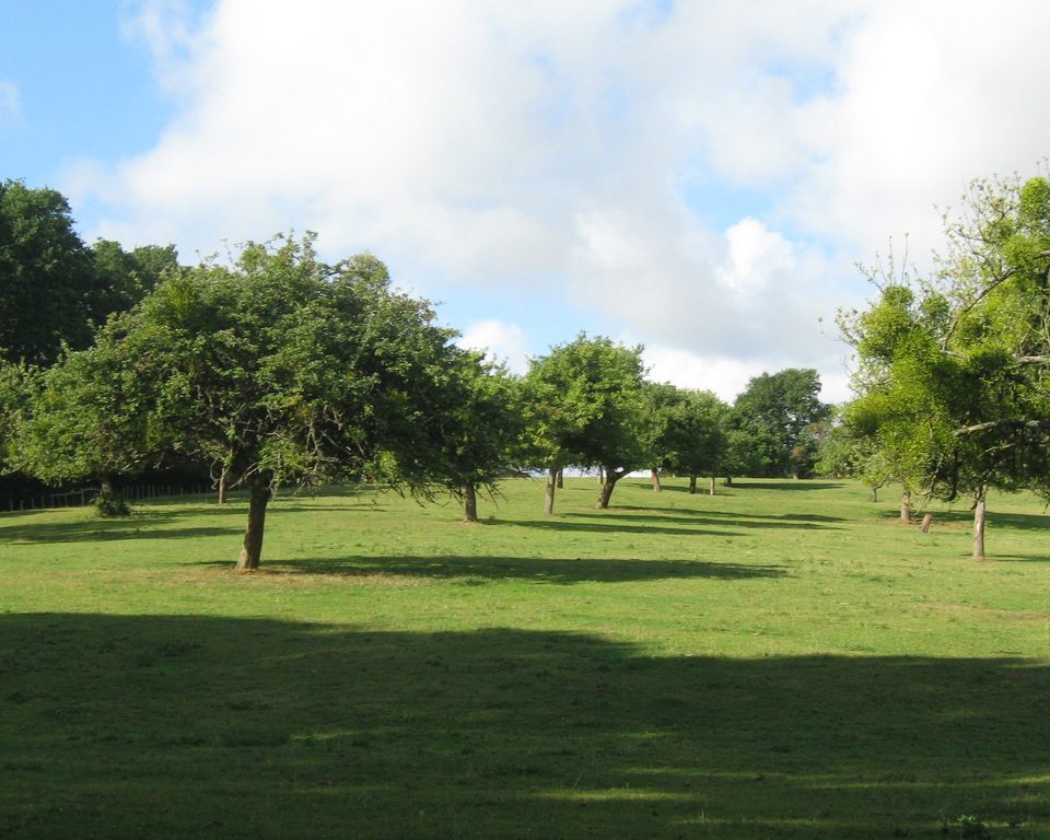 montcendrou-ot_RECADREE