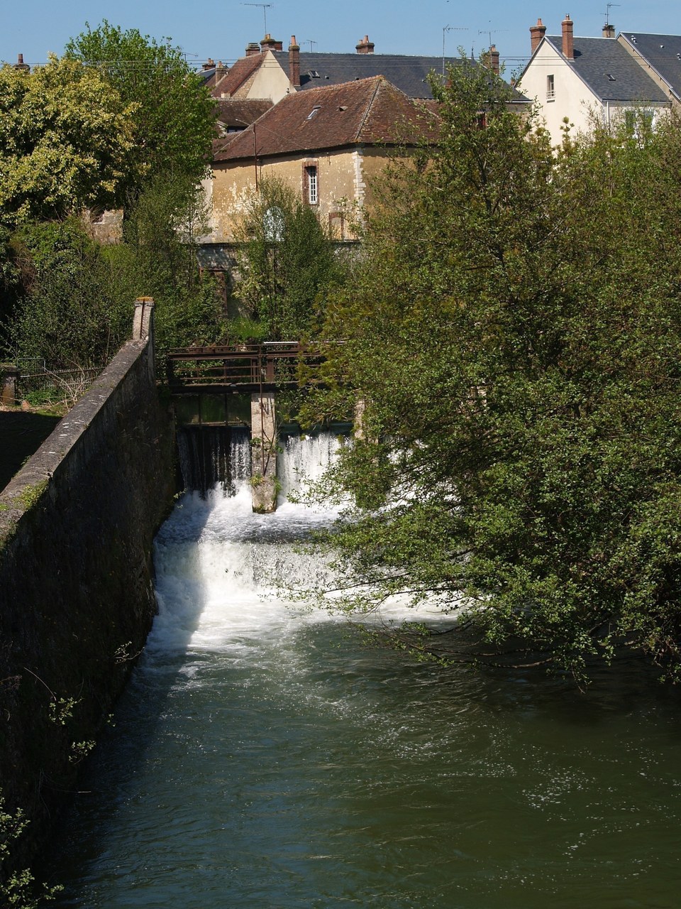 Tuilerie-Saules2