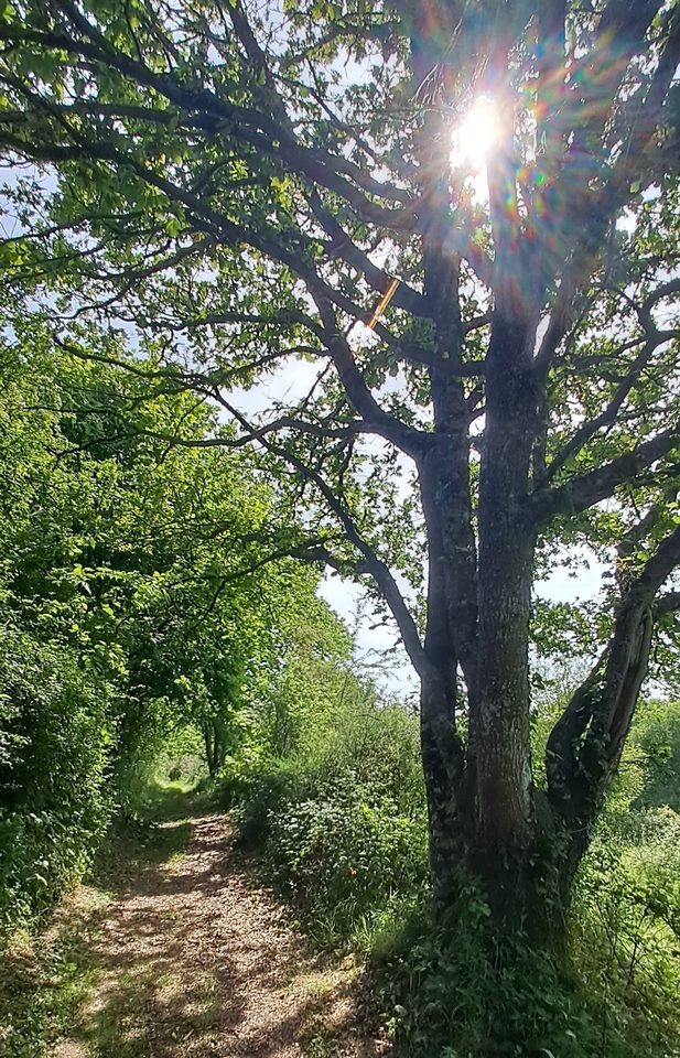 Chemin2