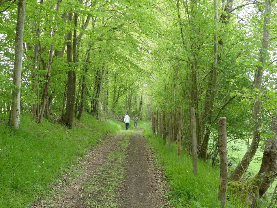 chemin creux