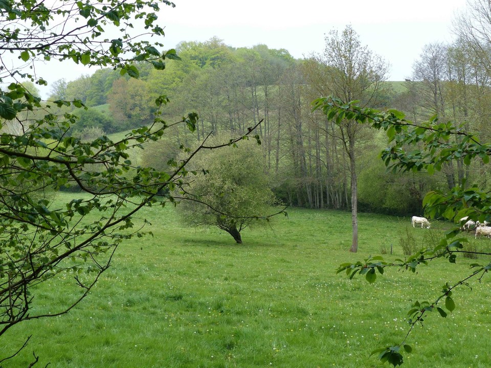 Point de vue bocager