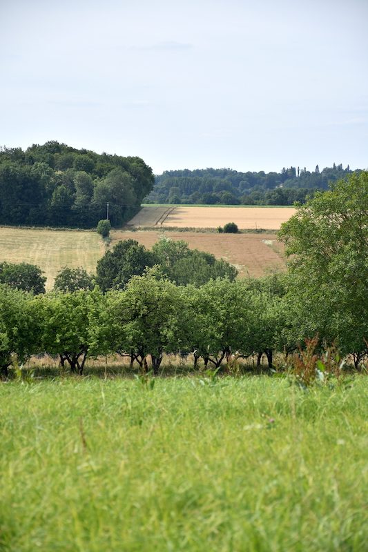Bivilliers 4