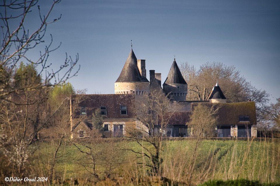 Le manoir de l'Angenardière
