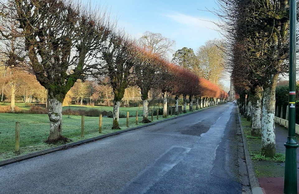 Allée-Senonches