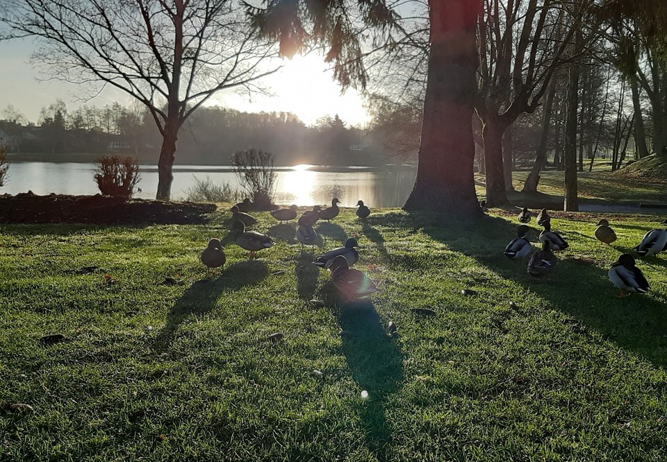 Etang-Senonches