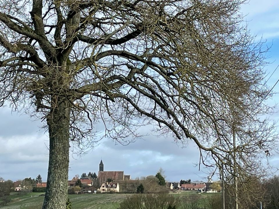 Sur le chemin du retour©Asso. Les marcheurs de Saint-Denis