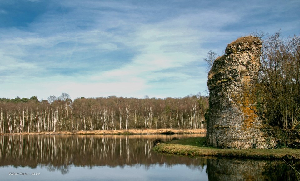 Ruines du château de Gannes©Didier Orsal