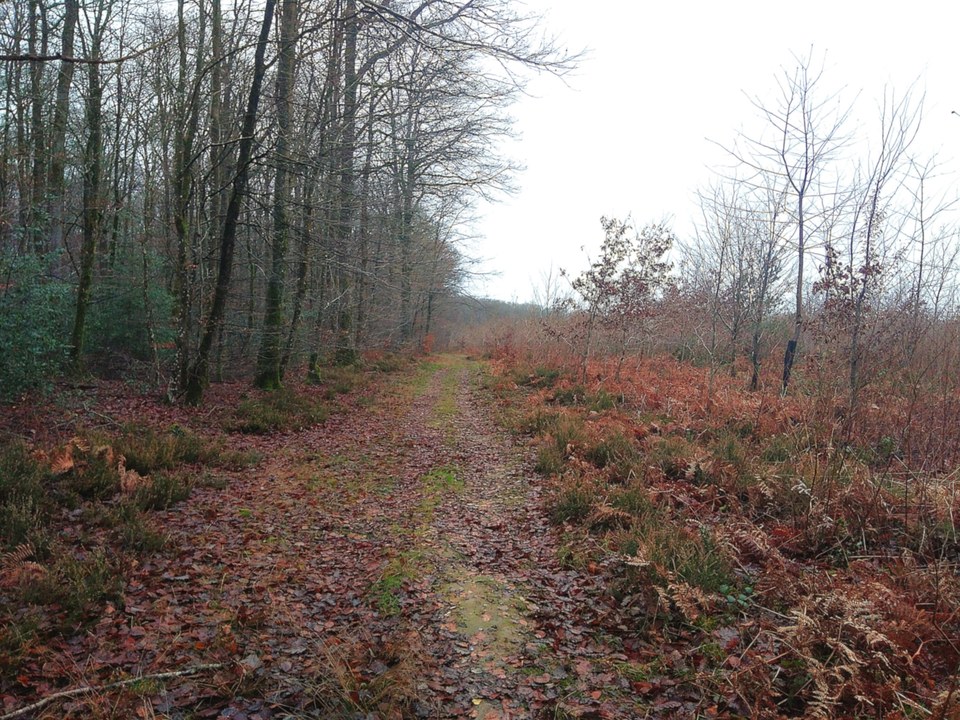 Sentier de découverte de La Framboisière