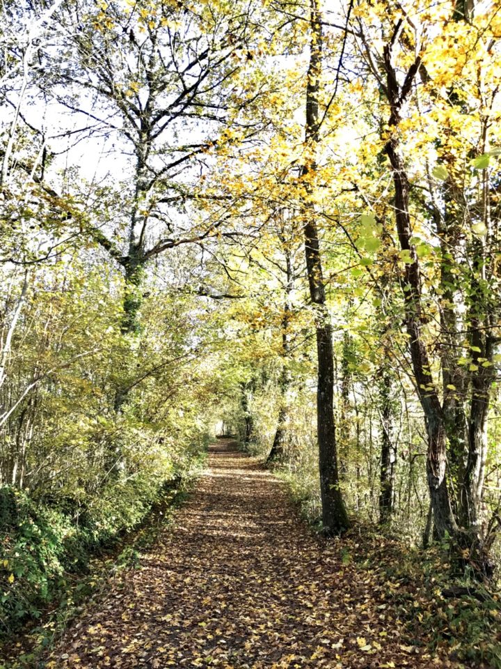 Chemin