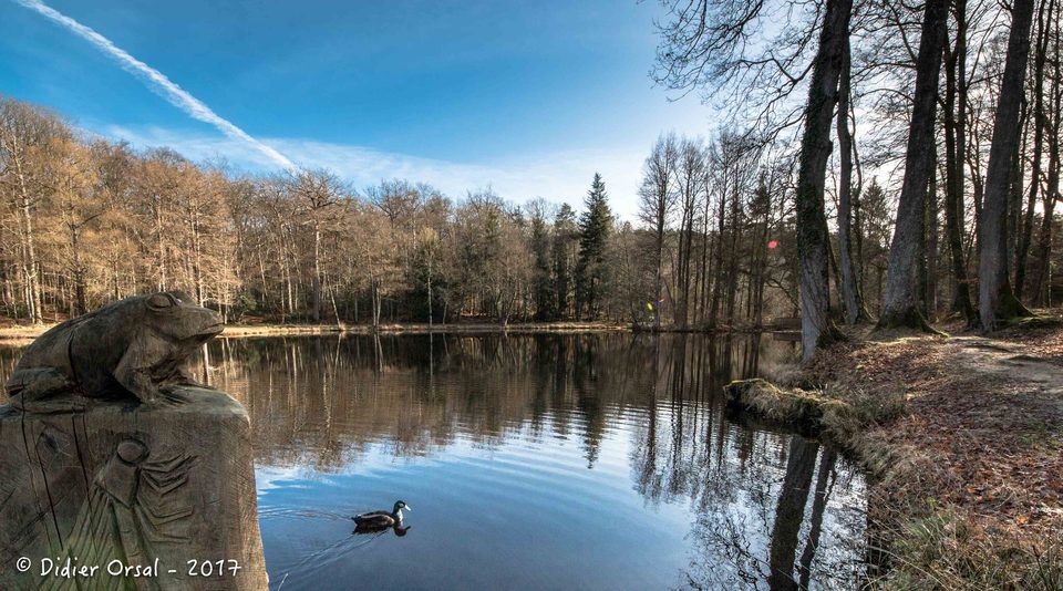 Etang de la Herse