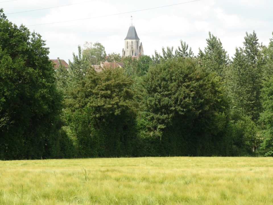 Vue du clocher de Mauves©OT Mortagne