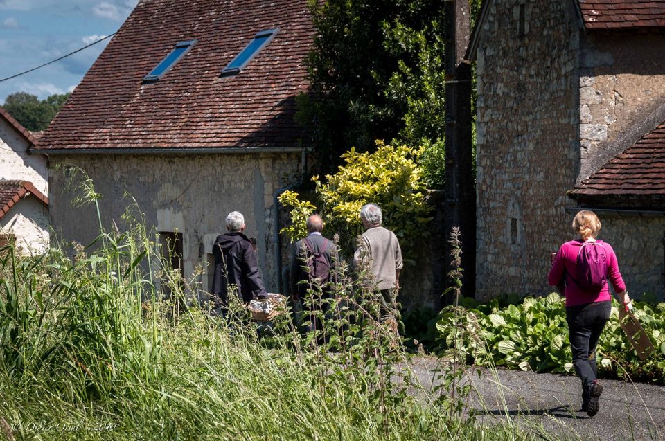 A l'orée des bois